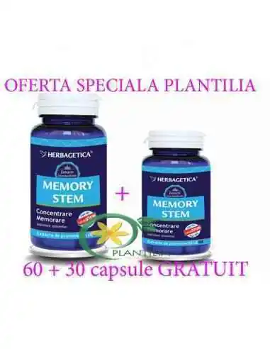 Memory Stem 60 + 30 cps GRATUIT Herbagetica, Stres