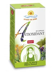 ANTIOXIDANT 60 capsule Fares