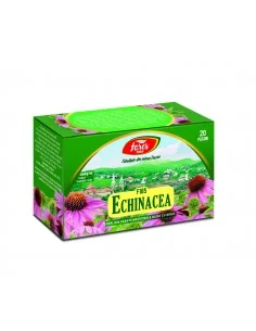 Ceai Echinacea 20 plicuri Fares