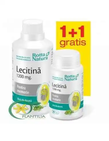 Lecitina 1200 mg 90 + 30 cps GRATUIT Rotta Natura, Sistemul nervos