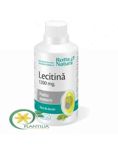 Lecitina 1200 mg 90 cps Rotta Natura, Sistemul nervos