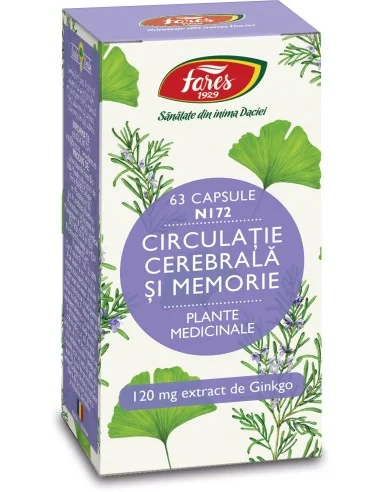 Circulatie Cerebrala si Memorie 63 cps Fares