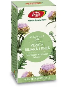 Vezica Biliara Lenta D70 63 cps Fares