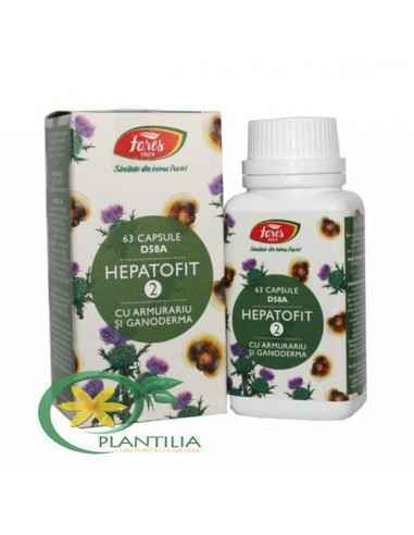 Hepatofit 2 63 cps Fares, REMEDII NATURISTE