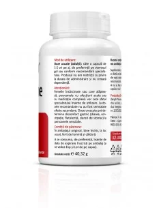 Berberina 500mg 60 cps Zenyth - Plantilia 2