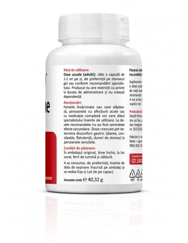 Berberina 500mg 60 cps Zenyth - Plantilia