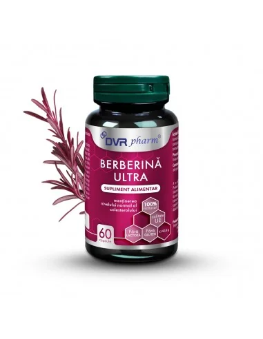 Berberina Ultra 60 cps DVR Pharm - Plantilia