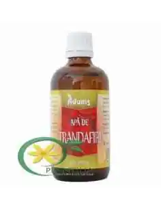 Apa de Trandafiri 100 ml Adams, Sanatatea pielii