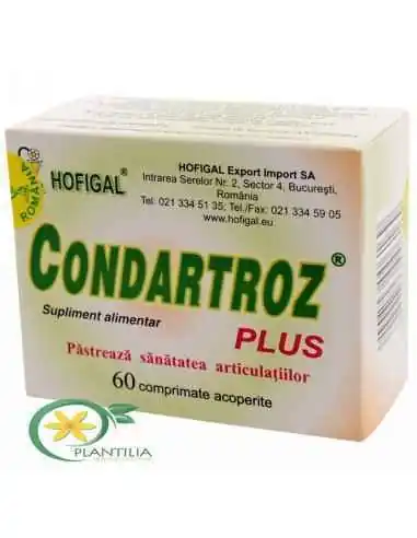 Condartroz Plus 60 cpr Hofigal, REMEDII NATURISTE