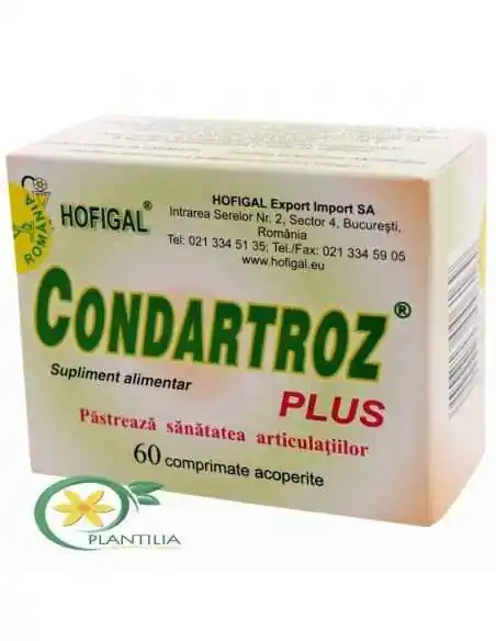 Condartroz Plus 60 cpr Hofigal, REMEDII NATURISTE