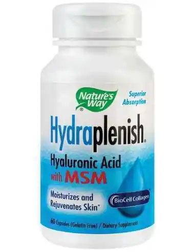 Hydraplenish Plus MSM 60 capsule Nature's Way, Sistemul nervos