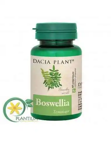 Boswellia 60 cpr Dacia Plant, REMEDII NATURISTE