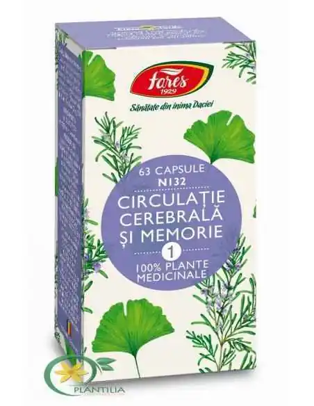 Circulatie Cerebrala si Memorie 63 cps Fares, Sistemul nervos