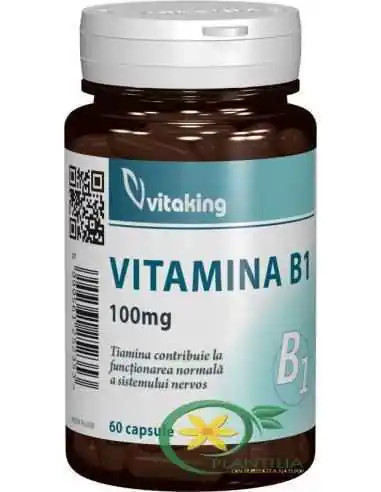 Vitamina B1 100 mg 60 cpr Vitaking, Sistemul nervos