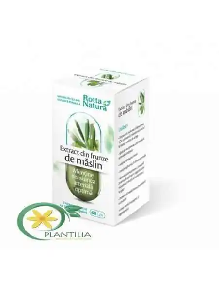 Extract din Frunze de Maslin 60 cps Rotta Natura, Terapia Diabetului