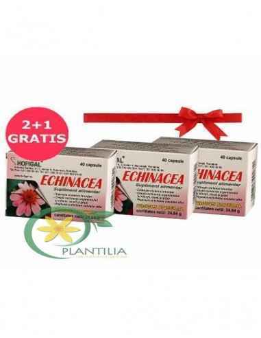 Echinacea 40cps 2+1 GRATIS Hofigal, REMEDII NATURISTE