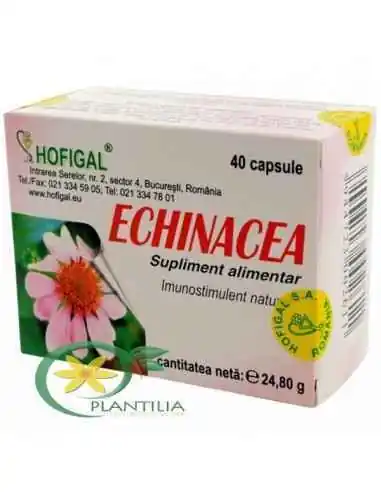 Echinacea 40cps Hofigal, REMEDII NATURISTE