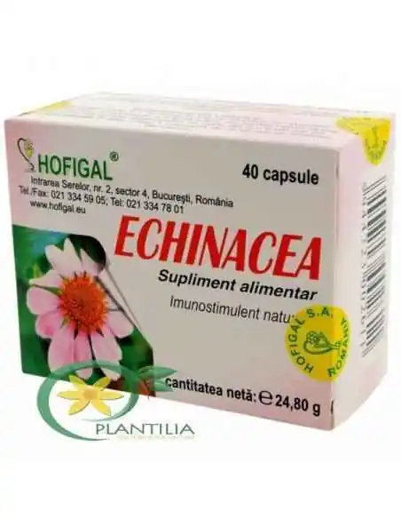 Echinacea 40cps Hofigal, REMEDII NATURISTE