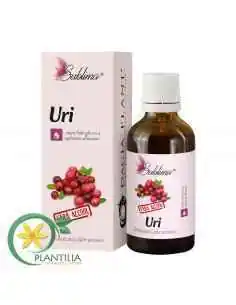 Sublima Uri Tinctura fara Alcool 50 ml Dacia Plant, TINCTURI FARA ALCOOL