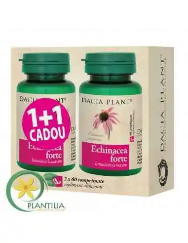 Echinacea Forte 60 cpr 1+1 GRATUIT Dacia Plant, REMEDII NATURISTE