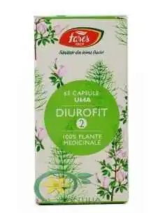 Diurofit 2 U64A 63 cps Fares, Slabire