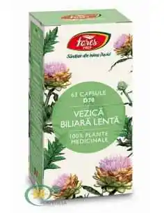 Vezica Biliara Lenta D70 63 cps Fares 2