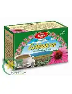 Ceai Echinacea 20 plicuri Fares 2