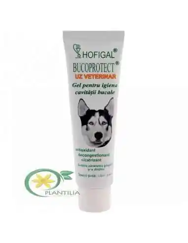 Bucoprotect 50 ml Uz Veterinar Hofigal, REDUCERI