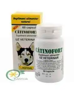 Catinofort 60 cps Uz Veterinar Hofogal, REDUCERI