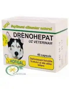 Drenohepat 40 cps Uz Veterinar Hofigal, REDUCERI