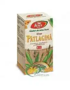 Sirop Patlagina cu Miere si Propolis 100 ml Fares 2