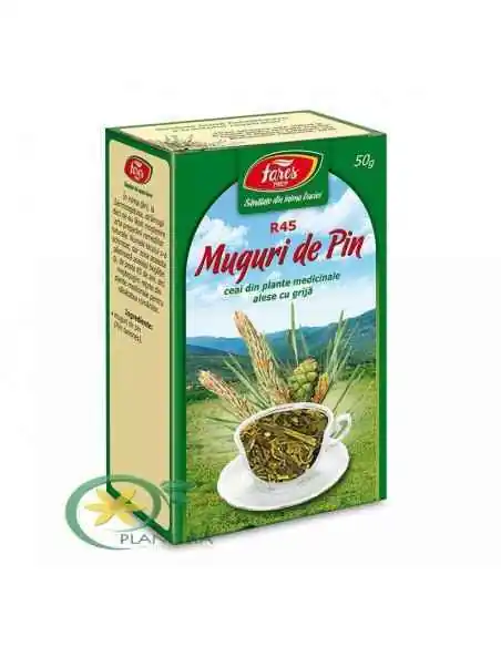 Ceai Muguri de Pin 50g Fares, REMEDII NATURISTE