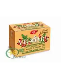 Ceai Vigoare Macese si Ghimbir 20 plicuri Fares 2