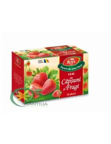 Ceai cu Capsuni si Fragi 20 plicuri Fares, Fortificarea organismului