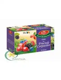 Ceai cu Fructele Carpatilor 20 plicuri Fares - Plantilia 2