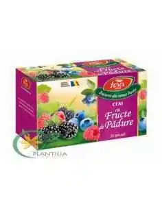 Ceai  Goji si Fructe de Padure 20 plicuri Fares 2