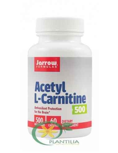 Acetyl L-Carnitine 500mg 60cps Secom Jarrow Formulas, Sistemul nervos