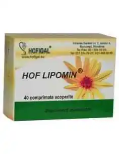 Hof Lipomin 40 cpr Hofigal, Terapia Diabetului