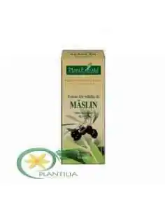 Extract Mladite Maslin 50ml PlantExtrakt, Terapia Diabetului 2