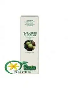 Extract Concentrat Muguri de Smochin 15ml PlantExtrakt, REMEDII NATURISTE 2