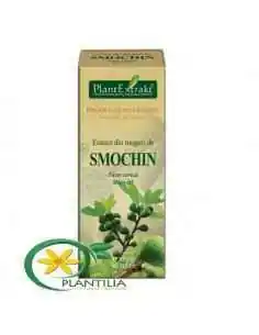 Extract din Muguri de Smochin 50ml PlantExtrakt, REMEDII NATURISTE 2