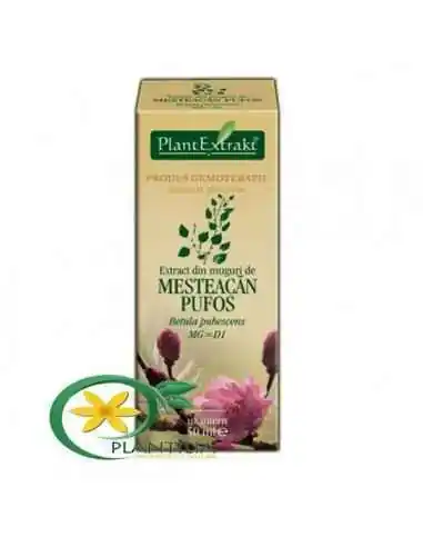 Extract din Muguri de Mesteacan Pufos 50ml PlantExtrakt, REMEDII NATURISTE