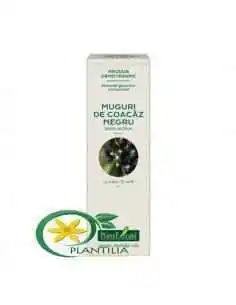 Extract Concentrat din Muguri de Coacaz Negru 15ml Plant Extrakt, REDUCERI 2
