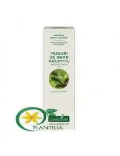 Extract Concentrat din Muguri de Brad Argintiu 15ml PlantExtrakt, VITAMINE SI MINERALE 2