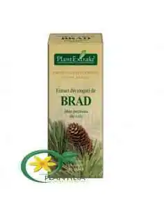 Extract din Muguri de Brad Argintiu 50ml PlantExtrakt, VITAMINE SI MINERALE 2