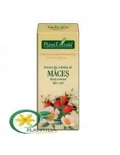 Extract din Mladite de Maces 50ml PlantExtrakt, Sistemul nervos 2