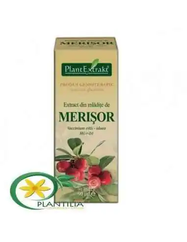 Extract din mladite de Merisor 50 ml  Plant Extrakt, Retentie hidrica