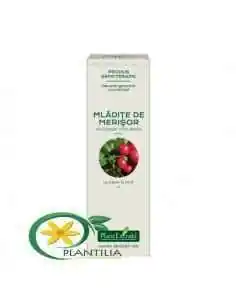 Extract Concentrat din Mladite de Merisor 15ml  Plant Extrakt, Retentie hidrica 2