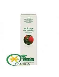 Extract Concentrat din Mladite de Zmeur 15ml Plant Extrakt, Tulburari Hormonale 2