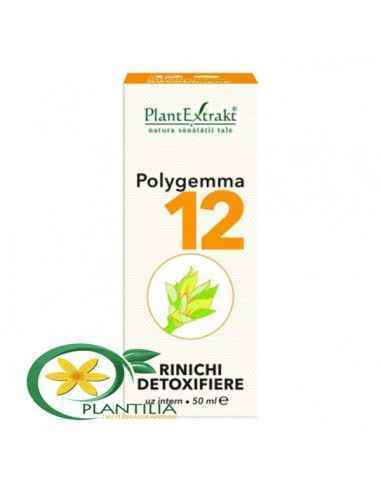 Polygemma 12 Rinichi, Detoxifiere 50 ml PlantExtrakt la Lei - dieta-daneza.ro